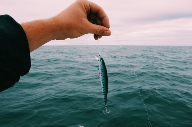 Sea fishing